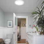 Can you put a daylight tunnel on a flat roof