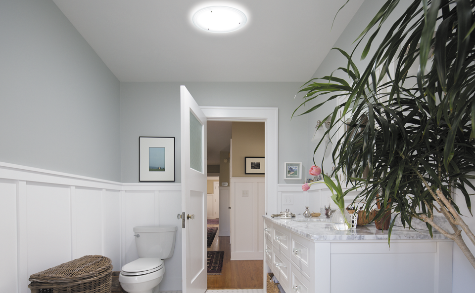 Can you put a daylight tunnel on a flat roof