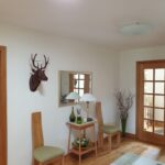 Is Solatube a skylight alternative?