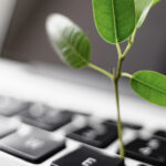 What is human sustainability?