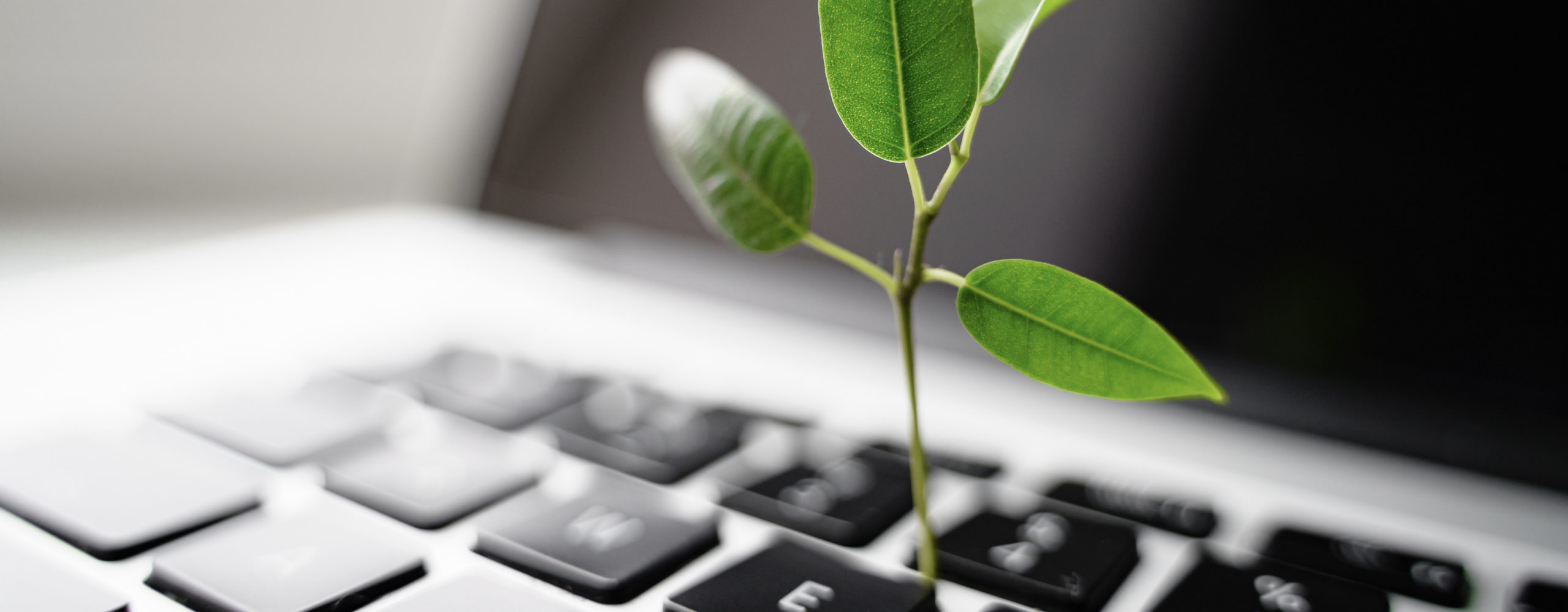 What is human sustainability?