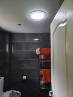 best way to add daylight to a dark bathroom