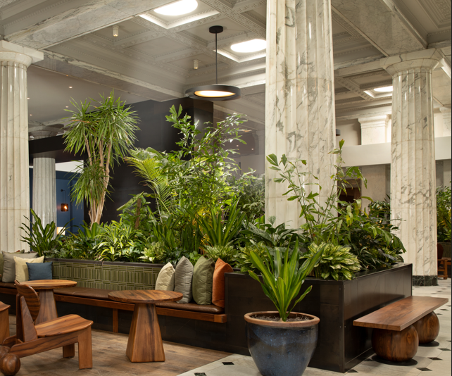 Can daylight from a Solatube rooflight tunnel contribute to biophilic design