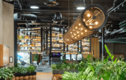 What is Biophilic design