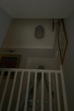 Can a Solatube daylight tunnel light up a landing in Edinburgh
